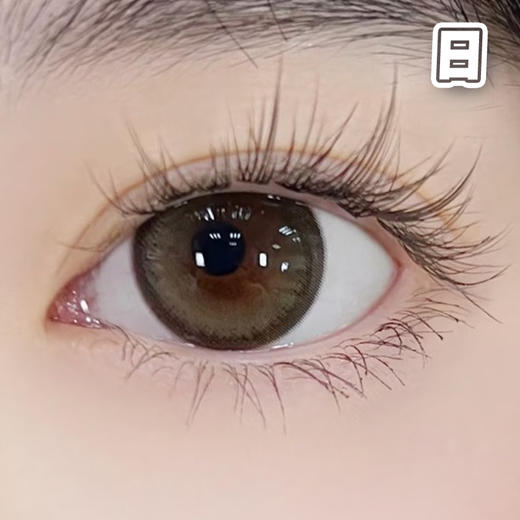 #Yoko 黄昏 褐棕色 14.5mm 【10片装】舒适推荐 / 进口日抛 商品图3
