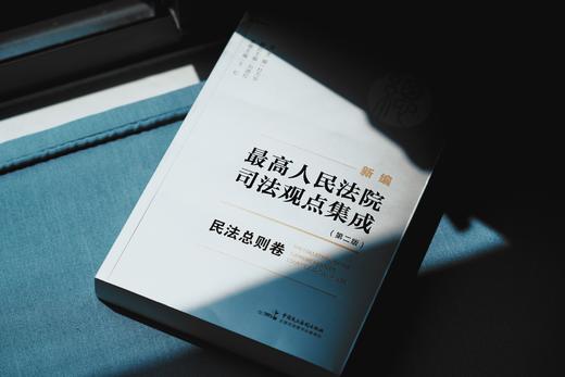 新编最高人民法院司法观点集成（第二版）·民事系列：总则卷、合同卷、物权与担保卷 商品图11