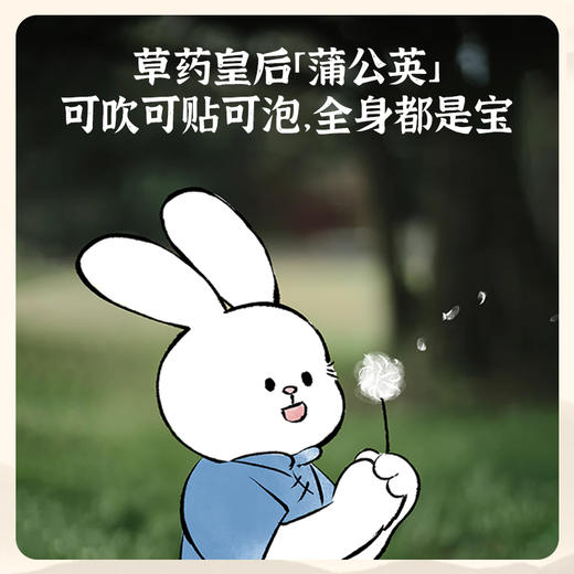 【真不二】儿童穴位贴中药贴宝宝感冒贴退退贴草本贴（6个月及以上可用 / 新老包装随机发货） 商品图1