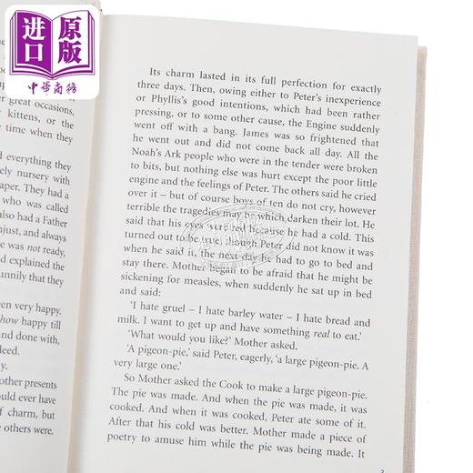 【中商原版】海雀布纹经典 铁路边的孩子 The Railway Children 英文原版 E Nesbit 大师经典 世界经典名著 商品图2