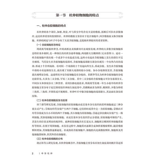 中华杜仲 杜仲的植物学特征 杜仲的栽培工程学研究 杜仲内生菌的鉴定与多样性 主编张水寒 欧阳冬生等人民卫生出版社9787117362320 商品图4