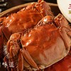 王鲜记 六月黄大闸蟹 商品缩略图1