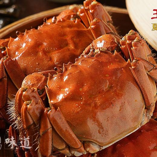 王鲜记 六月黄大闸蟹 商品图1