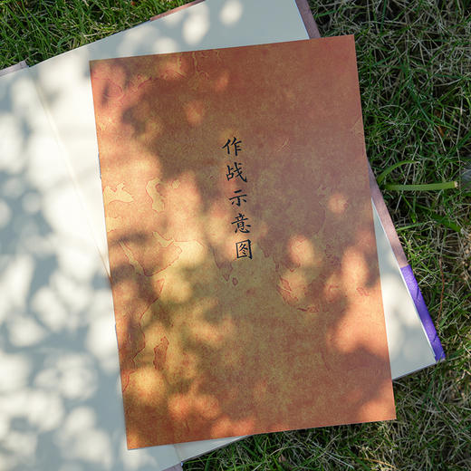 平天下：曾国藩的暮年雄心 商品图2