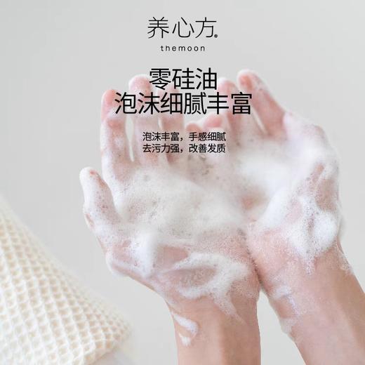 养心方 无患子控油蓬松洗发露原浆洗发水 商品图2