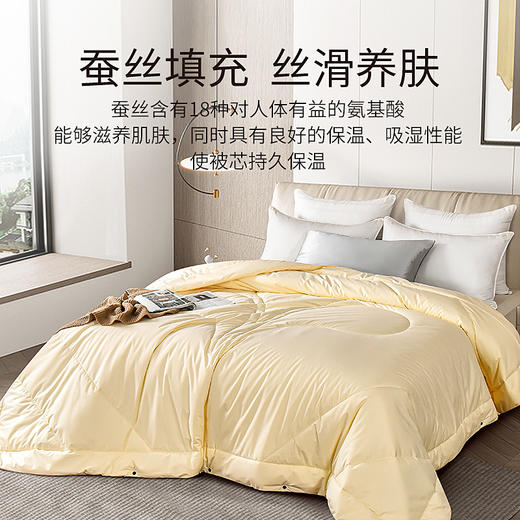 雅芳婷专柜同款冬季加厚保暖被芯抑菌防螨复合蚕丝被冬被连芯扣 商品图1