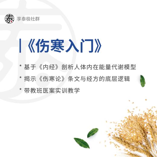 《伤寒入门课》全面升级版带教复训 商品图0