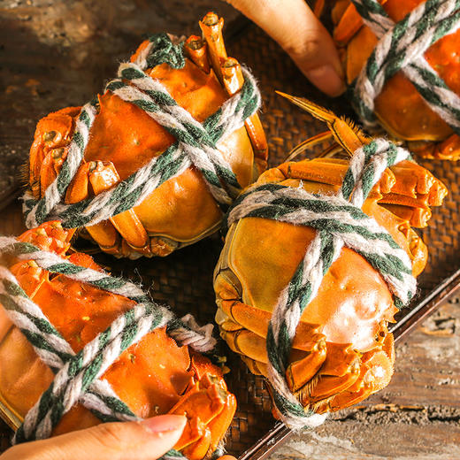 船歌鱼水饺蟹黄水饺礼盒230克*4袋 商品图5