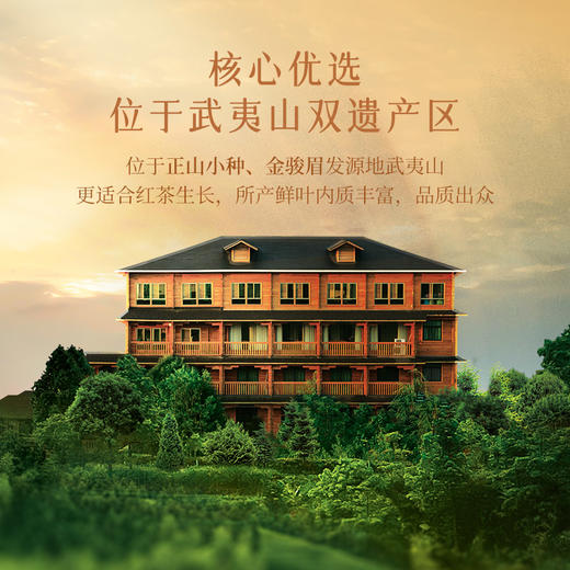 华祥庄园-特级正山小种+金骏眉品鉴茶（2包到手共10g） 商品图2