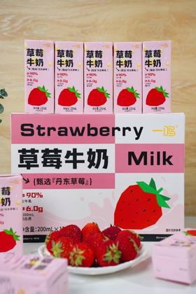 一鸣草莓牛奶200ml*12