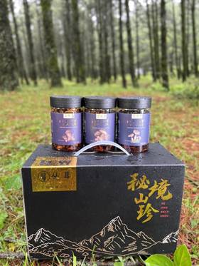 美味山珍礼盒 松茸菌 鸡枞菌 牛肝菌