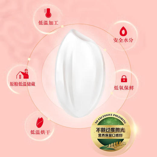 金龙鱼 吉林小町大米东北大米 5kg 商品图3
