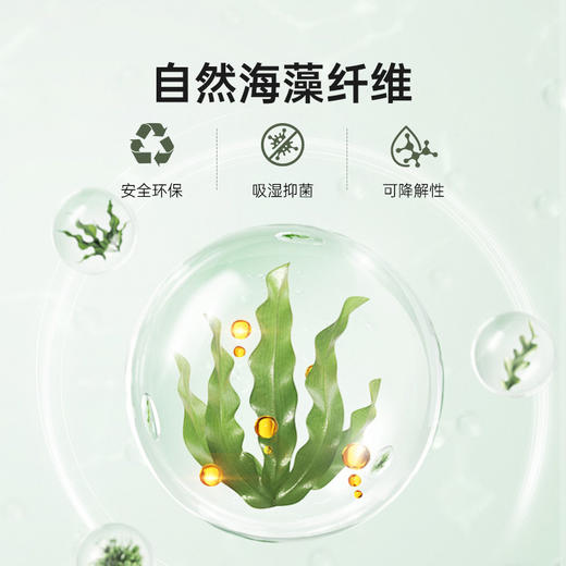 雅芳婷蛋白美眠枕枕头枕芯柔软高弹蓬松透气单人单个装48X74cm 商品图1