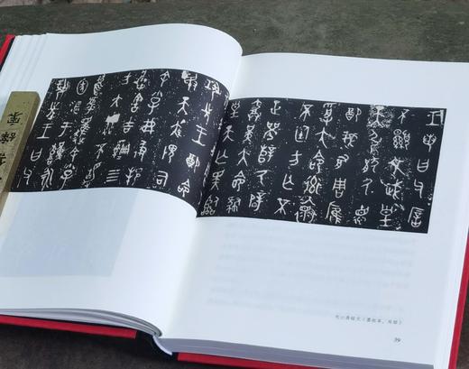 《中国书法之美》，精装16开，全5册，唐翼明主编，张天弓副主编，广东教育出版社2022年版，定价570，售价188元。 商品图8