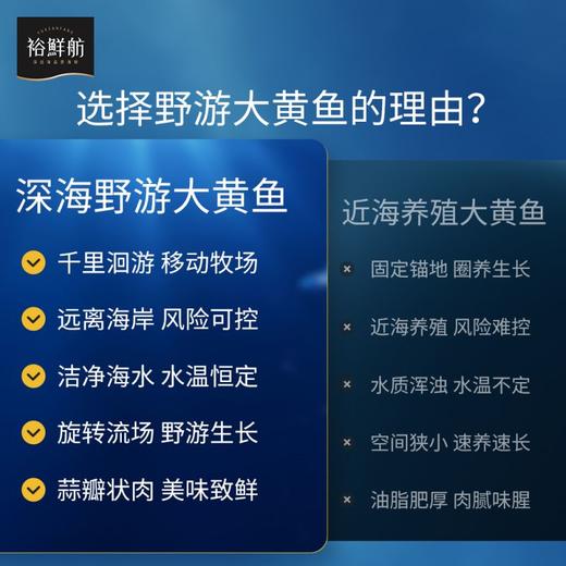 裕鲜舫 300海里大黄鱼礼盒 大黄鱼原条400g*4条礼盒 1.6kg 商品图3