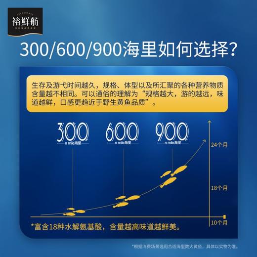 裕鲜舫 300海里大黄鱼礼盒 大黄鱼原条400g*4条礼盒 1.6kg 商品图9