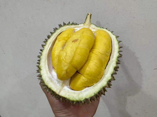 马来西亚✈️直发的鲜果猫山王 味道更来劲的D197鲜猫 商品图1