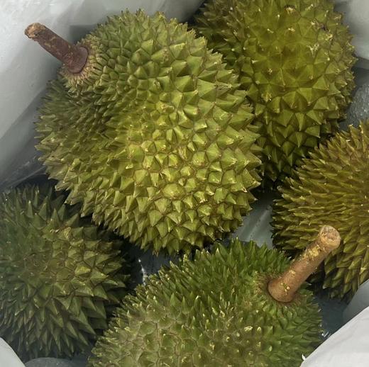 马来西亚空运猫山王鲜果 商品图0