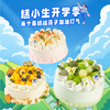 开学季福利-8款5英寸蛋糕任选99元 商品缩略图0