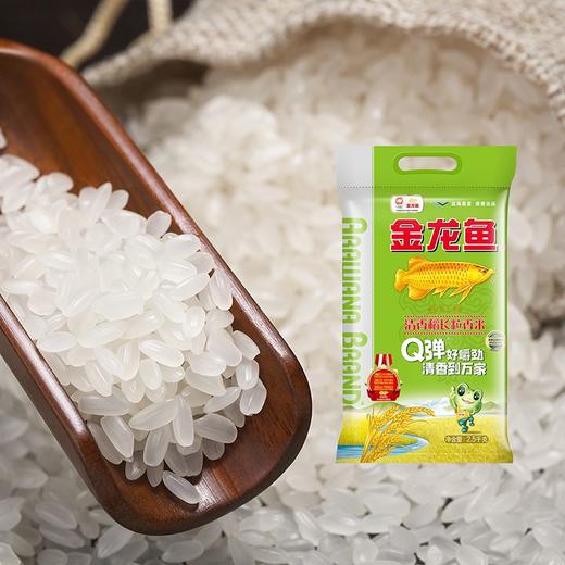 金龙鱼 清香稻长粒香米东北大米香软甜糯 2.5KG 商品图3