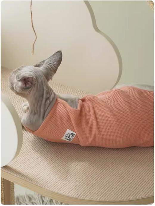 CatS静电贴平绒垫/圈绒垫 自粘贴爬架垫 CatS猫爬架专用 商品图1