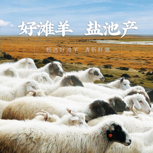 【YCC】宁夏盐池滩羊礼品卡 商品图1