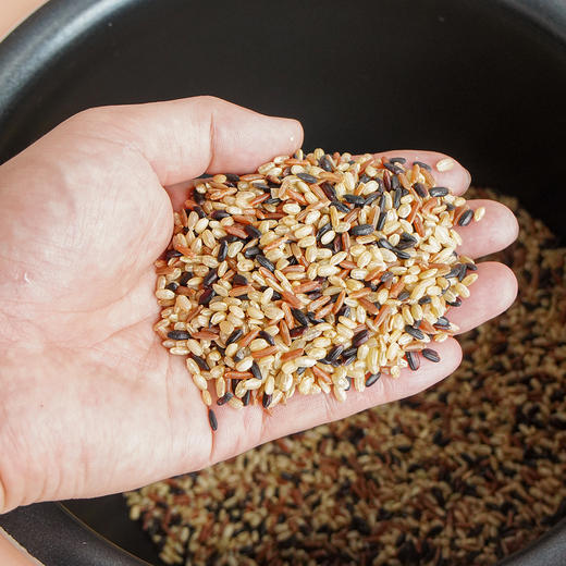 【第二袋半价】【减脂主食】低脂饱腹三色糙米【黑米红米糙米1:1:1】黄金配比  自制饭团  可搭配大米煮更健康营养  5斤真空装 商品图9