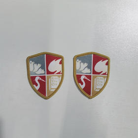 深圳南方科技大学附属中学菱形校徽（礼服）