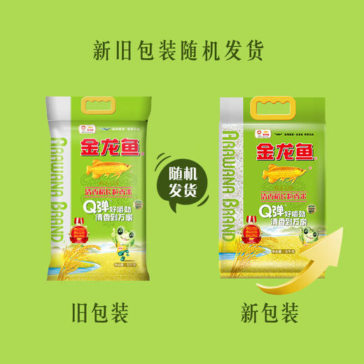 金龙鱼 清香稻长粒香米东北大米香软甜糯 5KG 商品图5