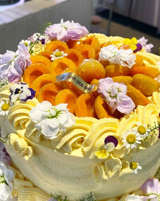 巧克力杏子米布丁·奶油蛋糕 商品图1