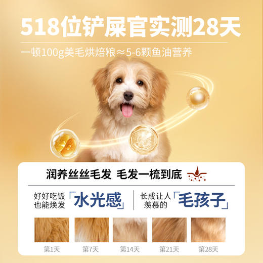 【新品】伯纳天纯全价鲜肉美毛低温烘焙犬粮全犬期通用2kg 商品图1