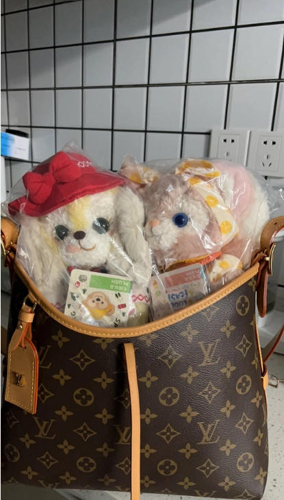 好评--carryall小号集合 商品图4