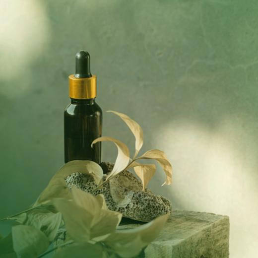 正念饮食「第三期」· 焕活感官之旅 商品图0