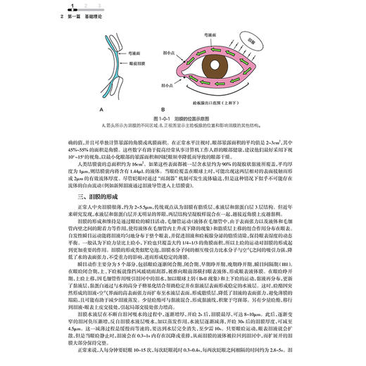 干眼相关疾病 千眼的基础理论和定义 流行病学 分类与诊断 睑板腺功能障碍 结膜松弛症 主编吴护平 人民卫生出版社9787117366670 商品图4