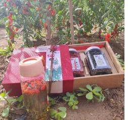 爱心滋补套餐三 商品图1