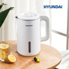 HYUNDAI双层不锈钢电热水壶 商品缩略图0
