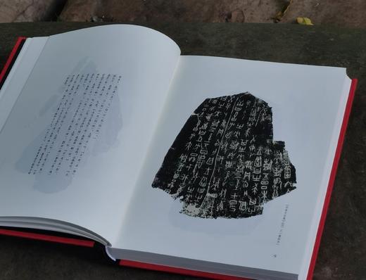 《中国书法之美》，精装16开，全5册，唐翼明主编，张天弓副主编，广东教育出版社2022年版，定价570，售价188元。 商品图6