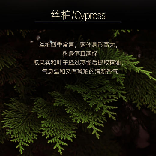 【双12大促】嘉媚乐小产地丝柏精油  平衡水油  细致毛孔 商品图3