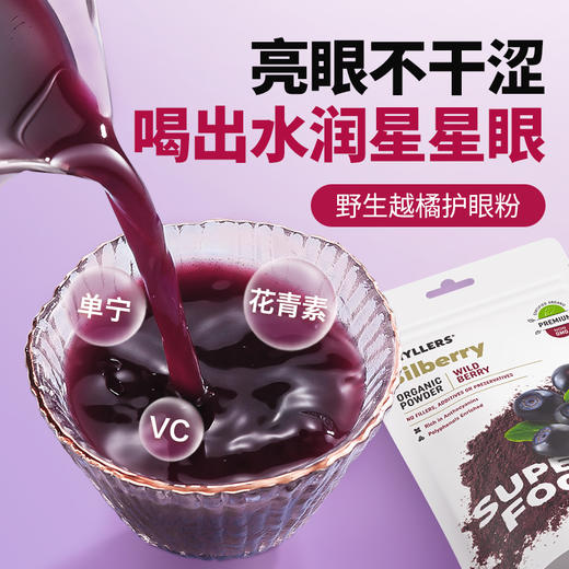 HYLLERS有机野生越橘粉 商品图0