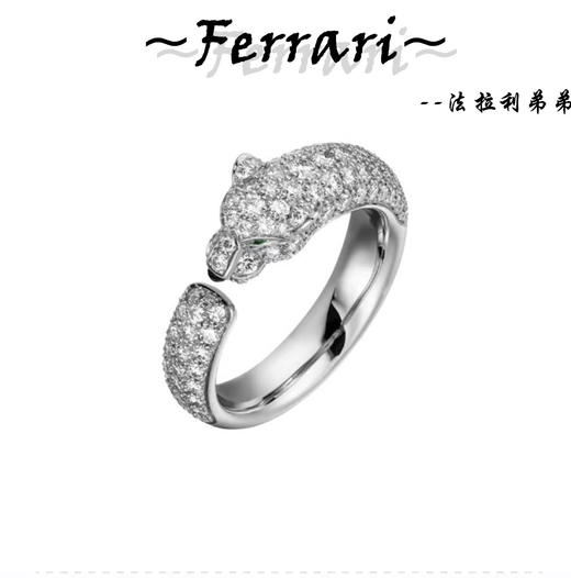 卡地豹子头多色 商品图0