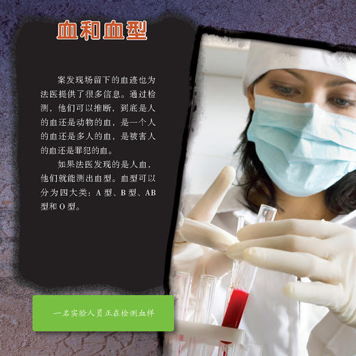 “新数学阅读”丛书（6套共48册，每小套装/8本） 商品图4