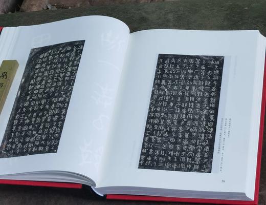 《中国书法之美》，精装16开，全5册，唐翼明主编，张天弓副主编，广东教育出版社2022年版，定价570，售价188元。 商品图11