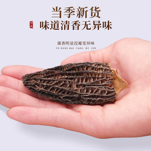 优选丨福东海 羊肚菌100g礼盒 山珍菌菇干货煲汤火锅食材 中秋高端送礼滋补品 商品图3
