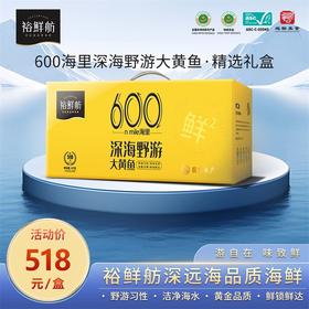 裕鲜舫 600海里大黄鱼礼盒 大黄鱼原条500g*2条礼盒 1kg