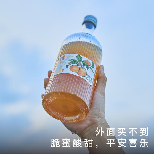 饱记金桔蜂蜜酒风味浓郁浸皮萃取微辣 商品图0