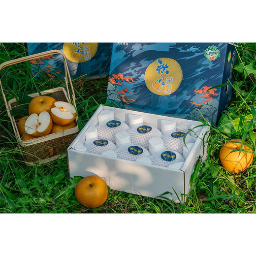 冰糖秋月梨6枚4.6-4.8斤装（新老包装随机发货）【分仓直发，72小时发货，周末节假日不发货】 商品图7