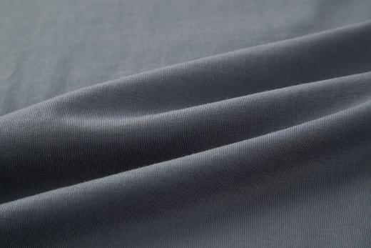 Loewe 23ss 撞色小刺绣短袖（玛瑙蓝） 商品图7