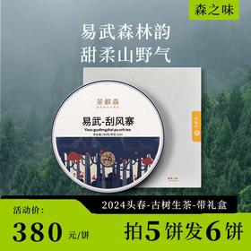 2024 易武-刮风寨 森之味 春茶现货 整提9折 拍5发6 普洱茶 生茶 200g饼