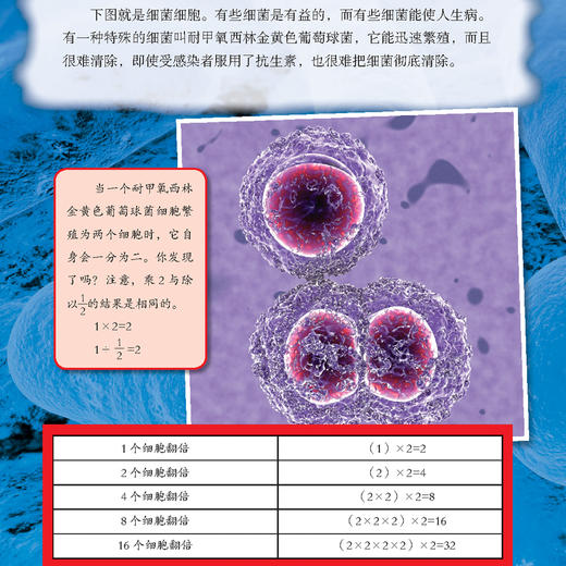 “新数学阅读”丛书（6套共48册，每小套装/8本） 商品图11