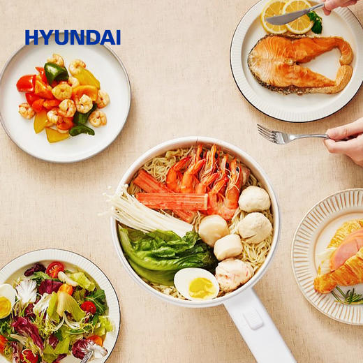 HYUNDAI多能电煮锅 商品图2